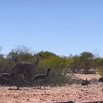 Off The Hook Kalbarri