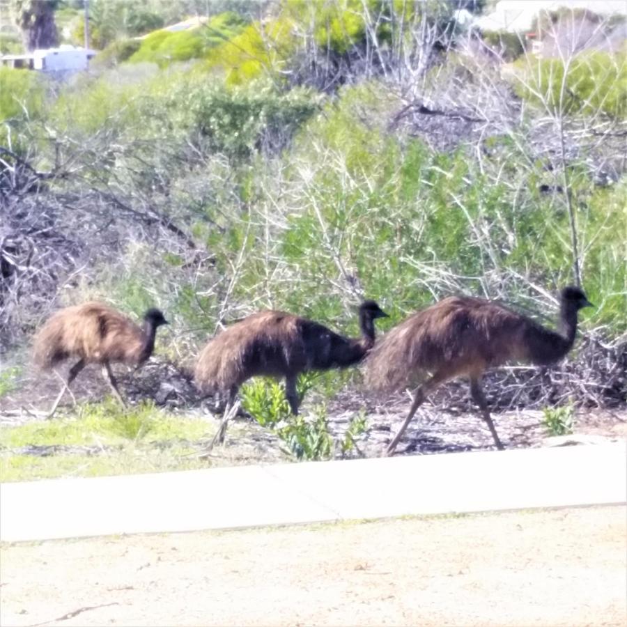 Family Retreat Kalbarri