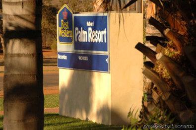 Motel Palm