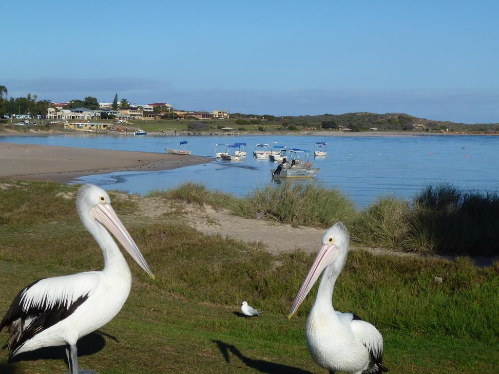 Hotel Pelican's Nest Kalbarri