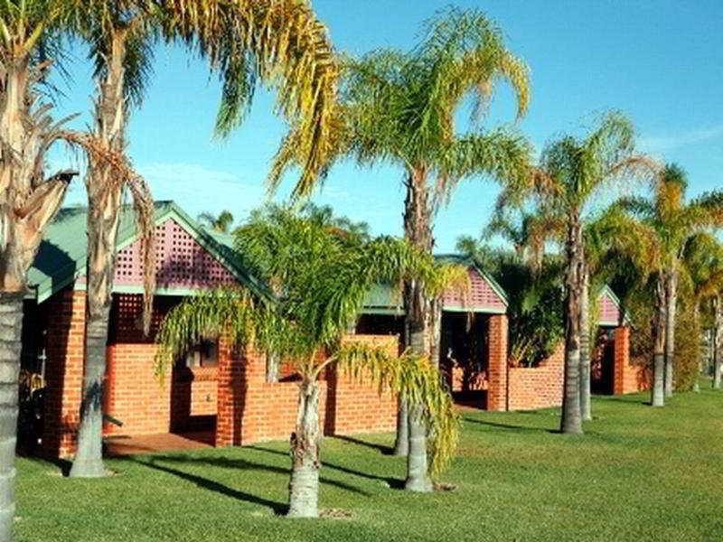 Motel Palm 3*