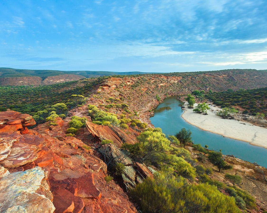 Kanga * Kalbarri