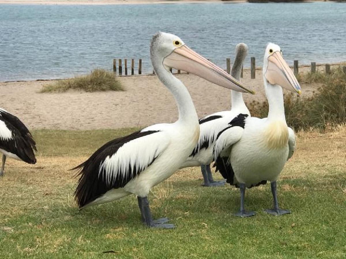 Holiday park Kalbarri Murchison View Apartments