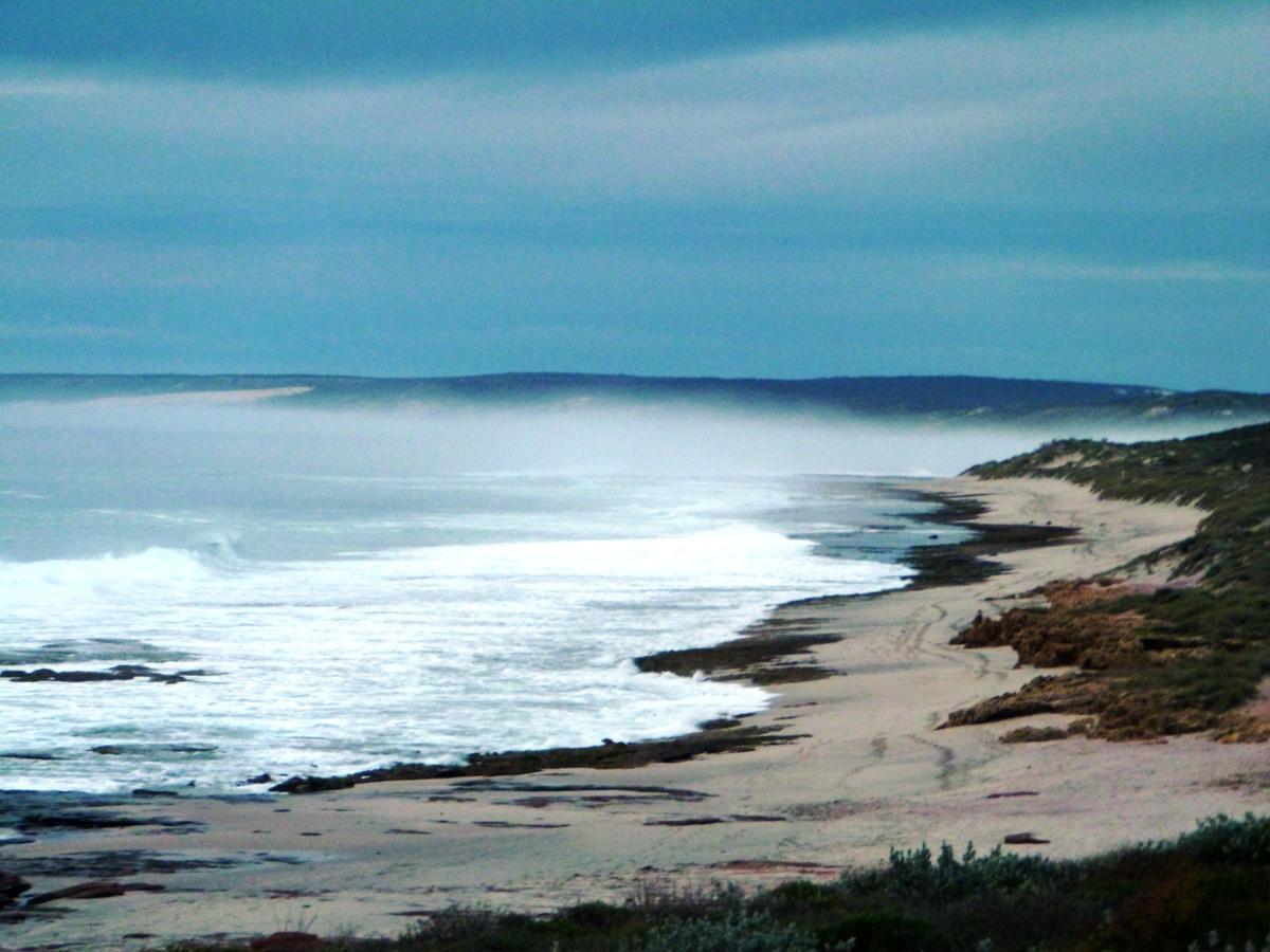 Kanga * Kalbarri
