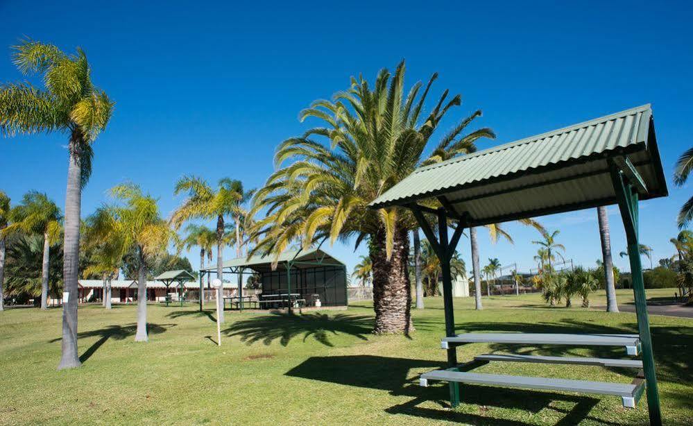 Palm Motel 3*