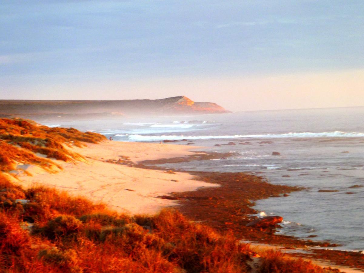 Kanga Kalbarri