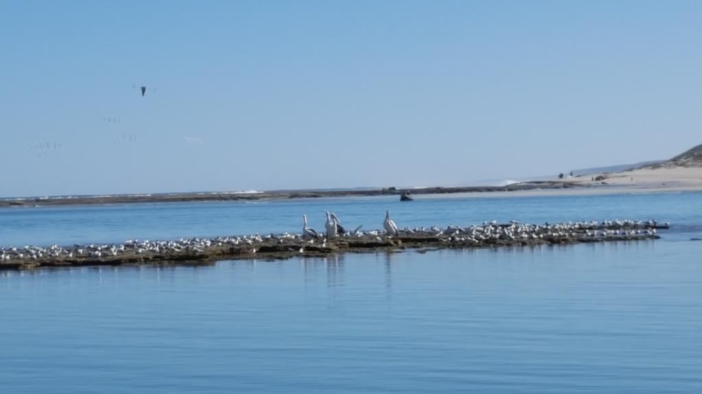 Seaview Apartment Kalbarri