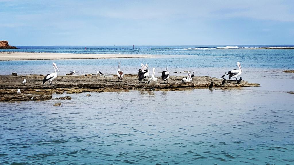 Seaview * Kalbarri