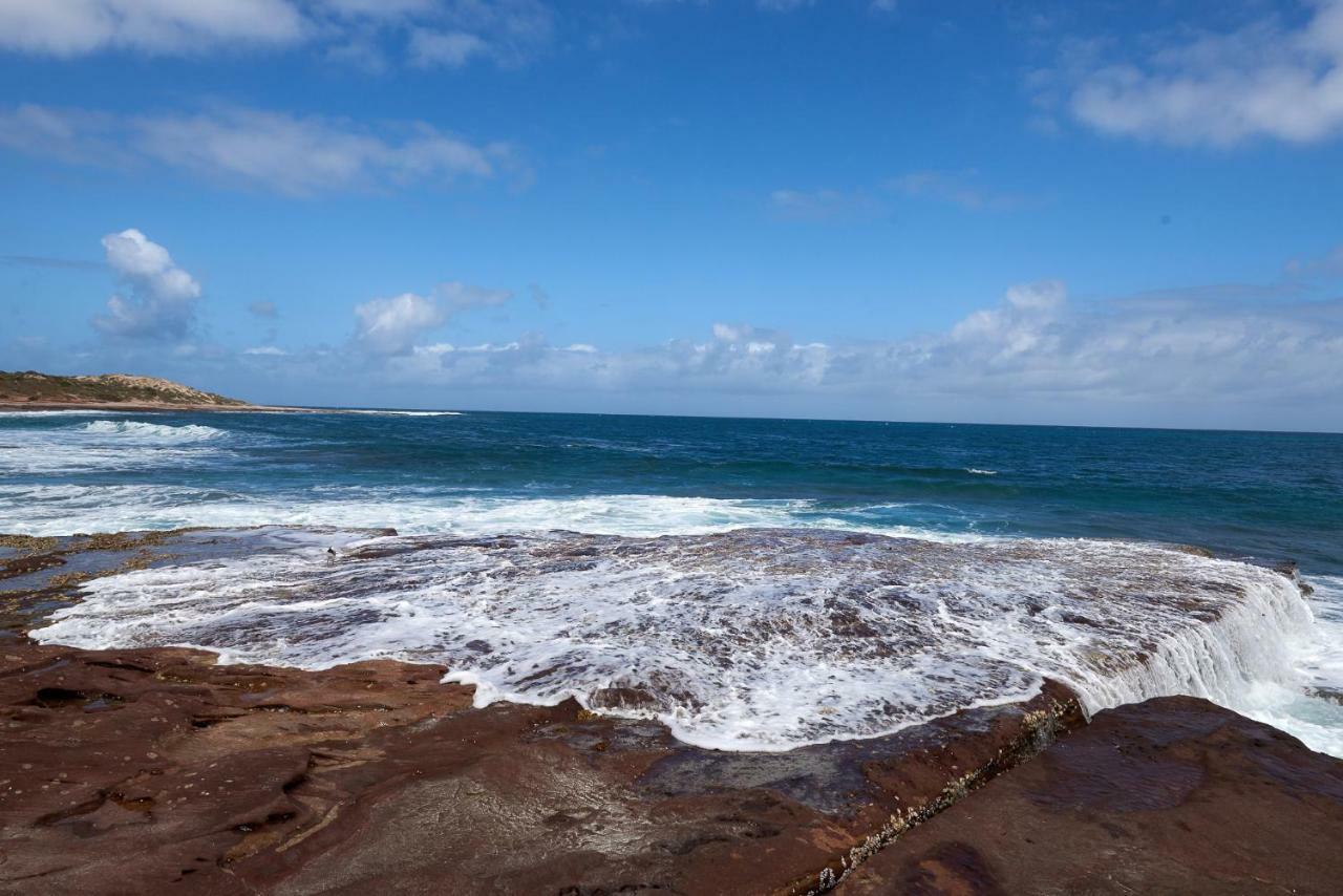 Api Pelican Front * Kalbarri